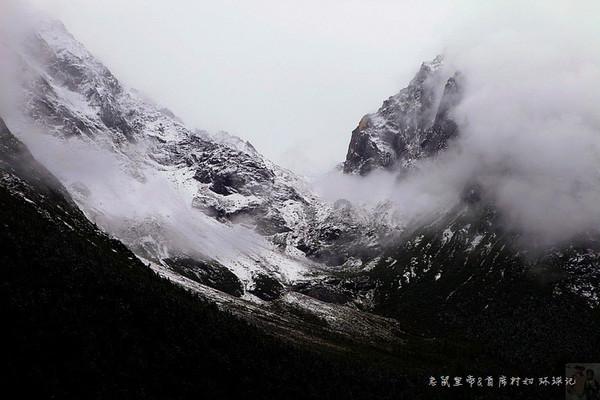 鲨鱼比海豚体型大，为什么不吃海豚？游戏画面